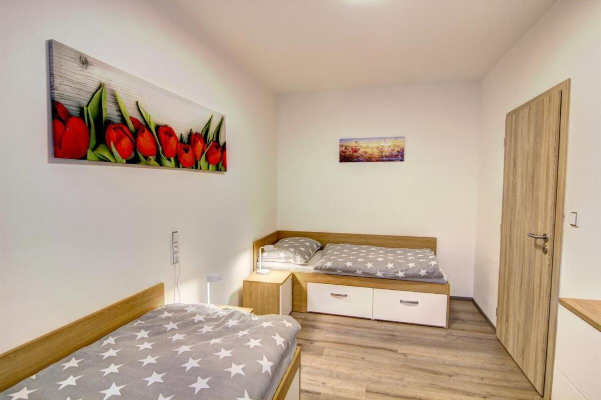 Zim-Let Lipno Apartment Frymburk Bagian luar foto
